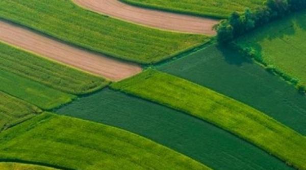 8 reguli de urmat in vanzarea terenurilor agricole