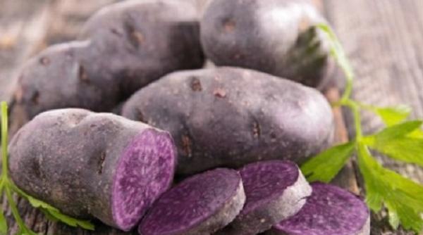 cartoful mov leguma din peru devenita cea mai profitabila afacere a momentului in romania sfaturi pentru agricultori