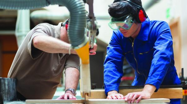 proiect elvetian de reinventare a meseriasilor romani