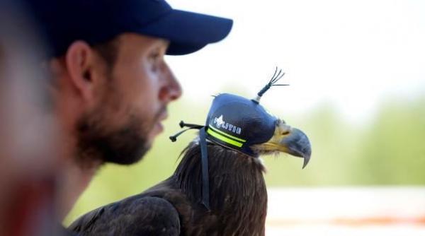 politia belgiana foloseste vulturi antrenati pentru a dobori dronele neautorizate la summitul nato de la bruxelles