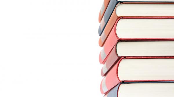 pavel nastase procesul de reinnoire a manualelor ar trebui sa se termine in 2020