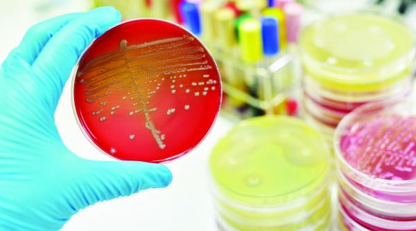 tratament contra bacteriilor ucigase