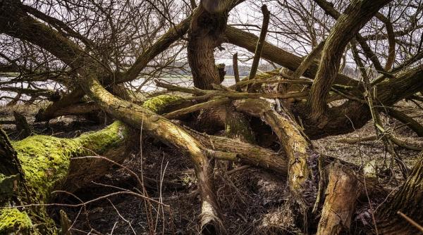 ploi torentiale in brazilia cel putin sase morti si zeci de mii de evacuati