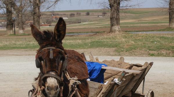 un bucurestean castiga intr o luna cat un vasluian in sase