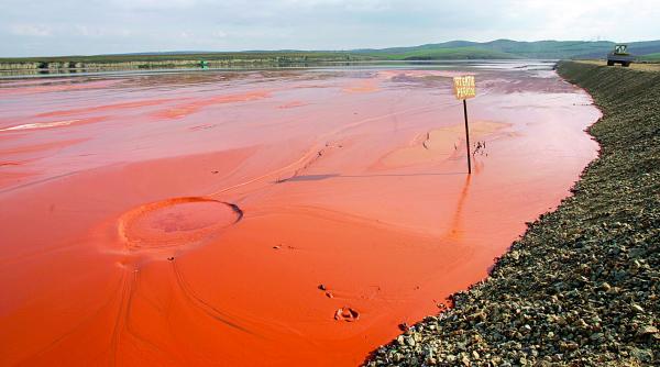 decontaminarea siturilor dupa scor de risc