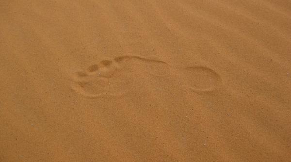 cel putin 44 de imigranti printre care si bebelusi au fost gasiti morti in desert in niger