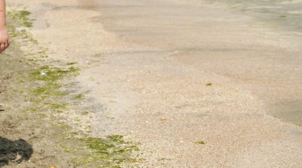 litoralul romanesc asteapta 50 000 de turisti de rusalii