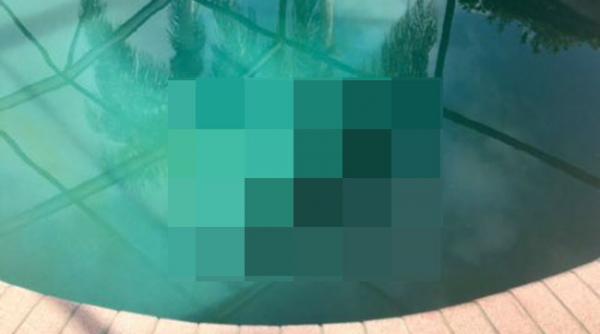 o familie din florida a avut o surpriza de proportii cand a vrut sa faca baie in piscina