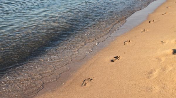 inlocuirea voucherelor de vacanta cu prime in bani va duce la evaziune fiscala banii nu vor ajunge in turism