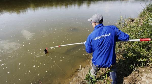 greenpeace sesizeaza garda de mediu cu privire la poluanti cu risc mare de infectie pe raul somes