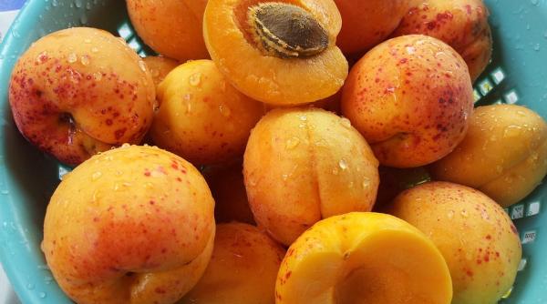 reteta zilei galuste cu caise