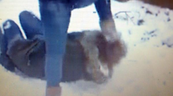 video prahova o eleva a fost umilita in public dupa care agresoarea a calcat o pe cap