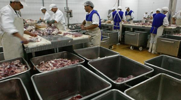 antreprenorii stimulati financiar sa relanseze agricultura