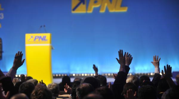 congresul pnl pentru alegerea noului presedinte a inceput