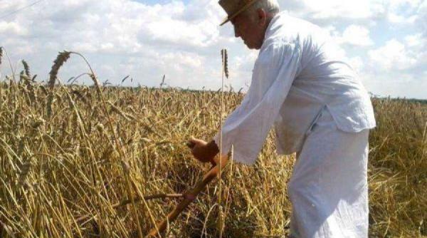 obiceiuri de sanpetru ce trebuie sa eviti sa faci in aceasta zi si in postul sfintilor apostoli