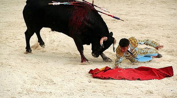 franta un toreador spaniol a fost ucis de taur in timpul unei coride dupa ce s a impiedicat in ring