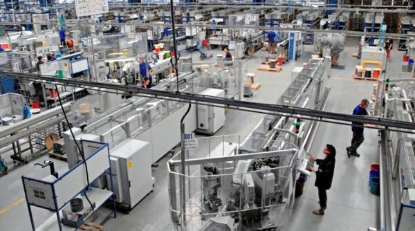 ireal japonezii angajeaza mexicani la negru in romania