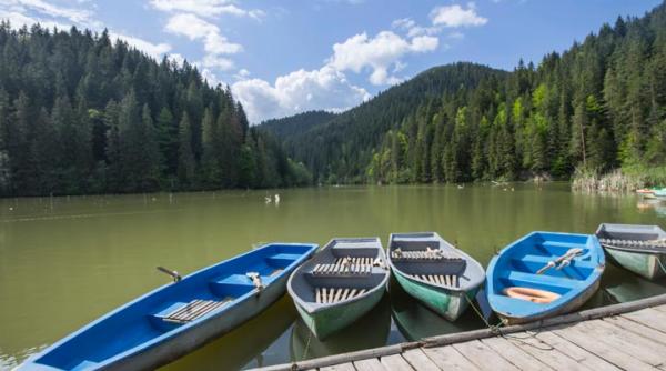 intamplare bizara langa statiunea lacul rosu un barbat a sarit din microbuz nemultumit de traseu si s a ratacit in padure