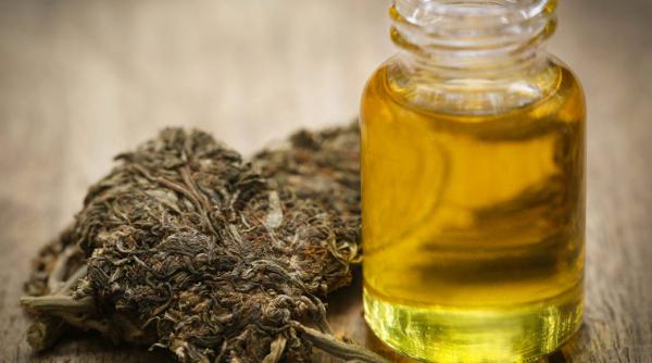 parlamentul polonez a legalizat utilizarea medicala limitata a canabisului