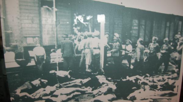 exclusiv o lectie despre dragostea pentru strabuni ajutati va rugam o familie ce cauta urmele stramosilor