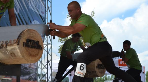 noul campion national la taiat lemne se va desemna maine la oradea
