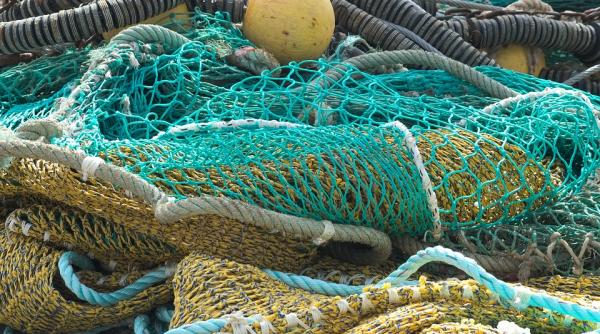 studiu circa 10 din cantitatea de peste capturata este aruncata o risipa enorma