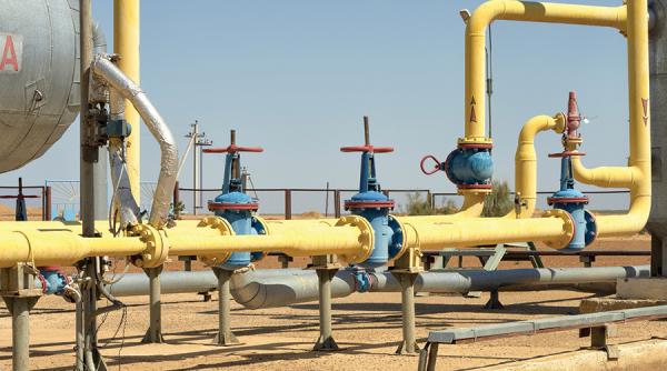 transgaz se conecteaza pe hartie cu toti vecinii dar bifeaza doar 16 din planul de investitii in 2016