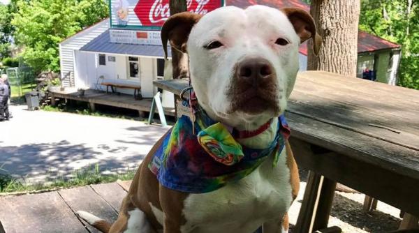 sua localnicii unei asezari din statul kentucky si au ales un primar cu totul neobisnuit