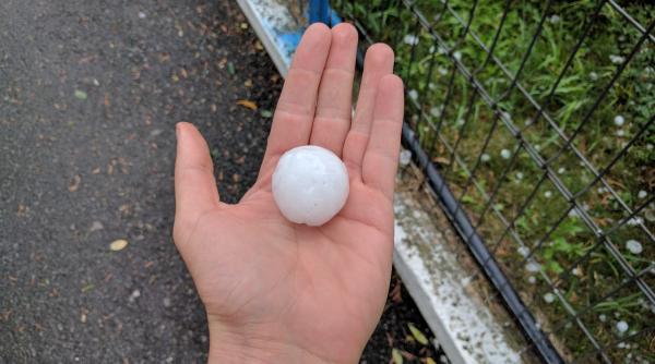 bihor grindina cat oul de gaina mai multe persoane au avut nevoie de ingrijiri medicale