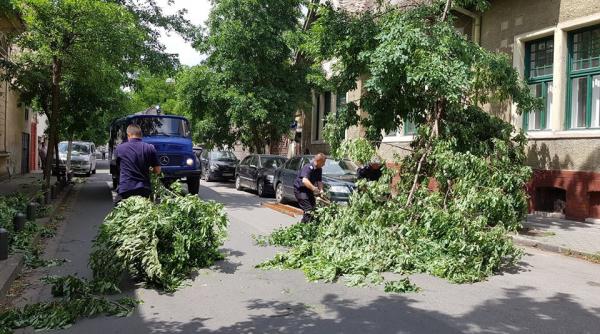 cartiere din arad si alte localitati din judet au ramas fara energie electrica dupa o furtuna violenta