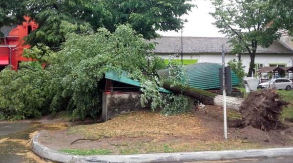 arad o furtuna violenta a facut prapad in localitatea ineu