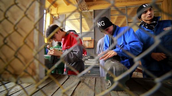 campanie jurnalul national scoli profesionale ca pe vremea lui creanga