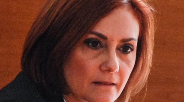 sefa tribunalului timis sustin demersul procurorilor dna am fost haituita si urmarita