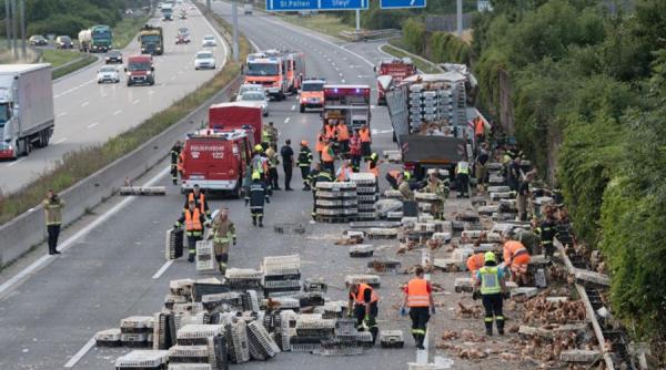cateva mii de gaini au blocat o autostrada in austria