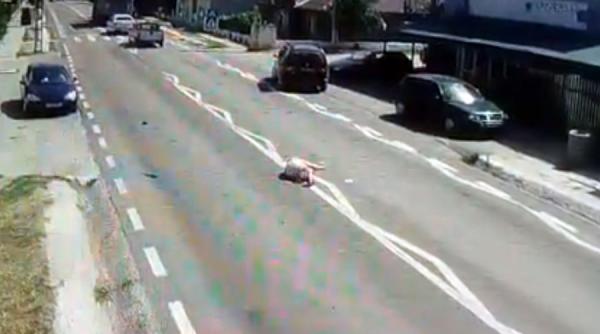 video accident cumplit in poarta alba o femeie este spulberata de o masina