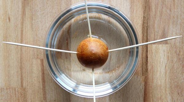 cum sa crestem un avocado acasa