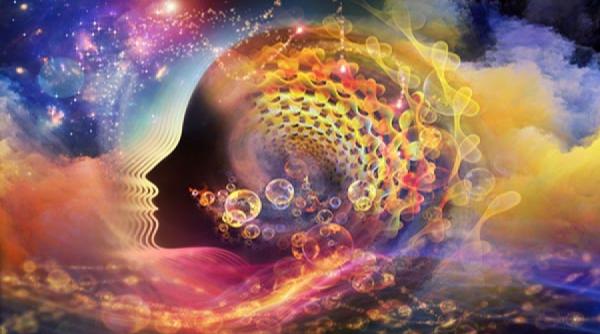 descoperire uimitoare iata ce organ al corpului este implicat alaturi de creier in influentarea realitatii