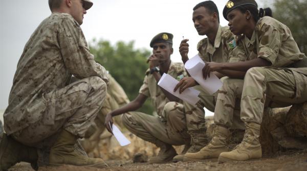 despre dieta militara si eficienta ei