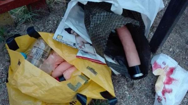 mai multe pungi cu vibratoare gasite intr un parc din targu jiu