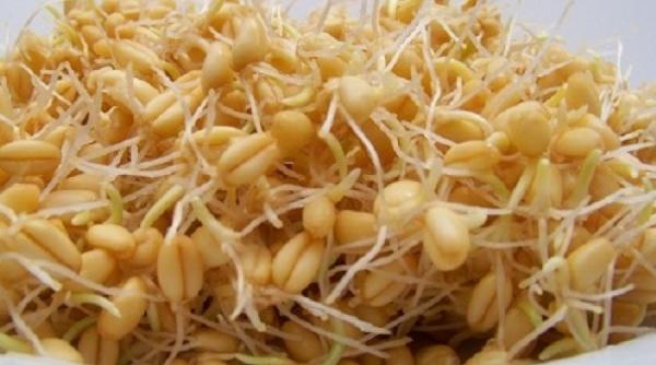 vrei sa eviti consumul de medicamente alege cura cu germeni de grau tratamente naturiste