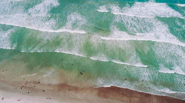 ansvsa noi controale pe litoral amenzi de 12 000 lei