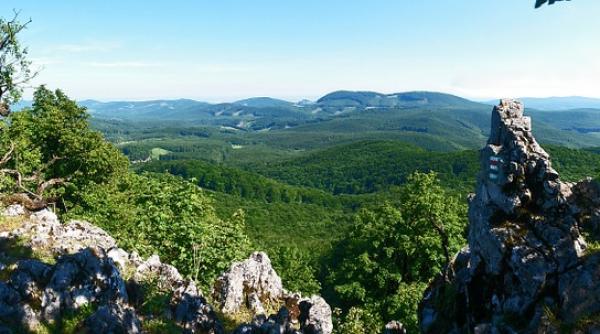 paduri seculare de fag din romania inscrise in patrimoniul mondial unesco