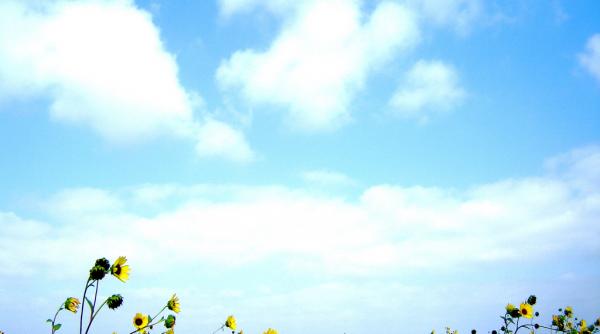 prognoza meteo pentru 10 11 si 12 iulie temperaturi ridicate