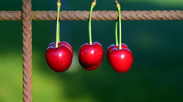 cele mai eficiente metode de a scapa de pietrele la rinichi
