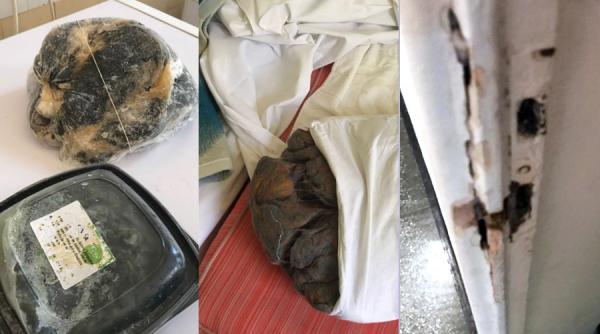 conditii de cosmar in mai multe hoteluri de pe litoral comisar de la protectia consmatorului amenintat de directorul thr marea neagra