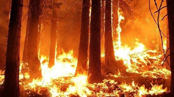 un cuplu a filmat drumul facut prin iadul puternicului incendiu din vestul canadei