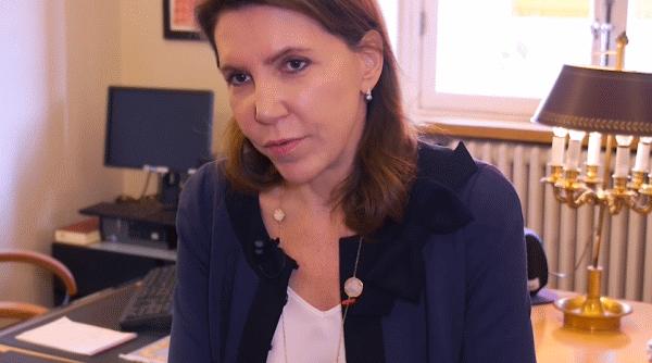 firmele franceze interesate de fondul suveran