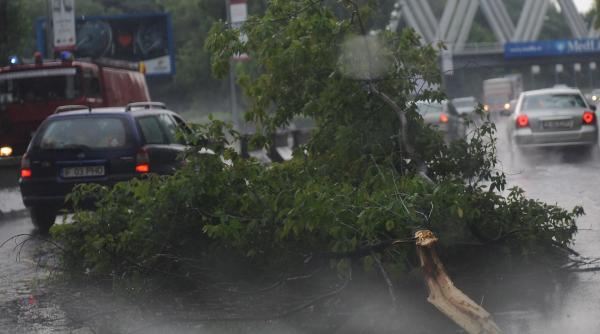 trafic blocat pe dn13a si dn12 din cauza copacilor daramati de furtuni