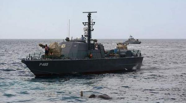 video un elefant a fost salvat din oceanul indian de marina militara din sri lanka
