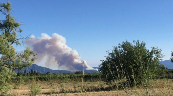 incendiu de padure violent la granita franco spaniola peste 150 de hectare au fost afectate